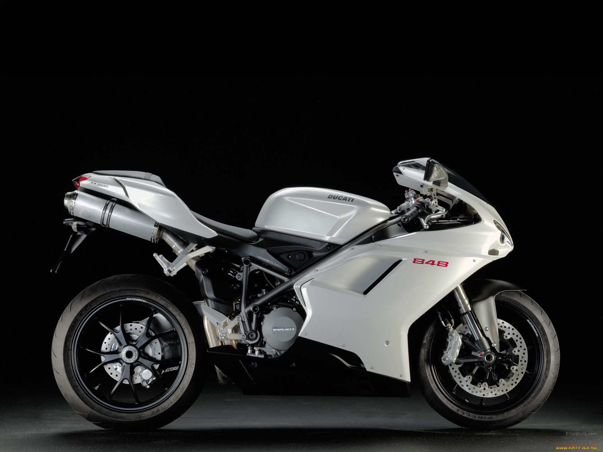 , ducati